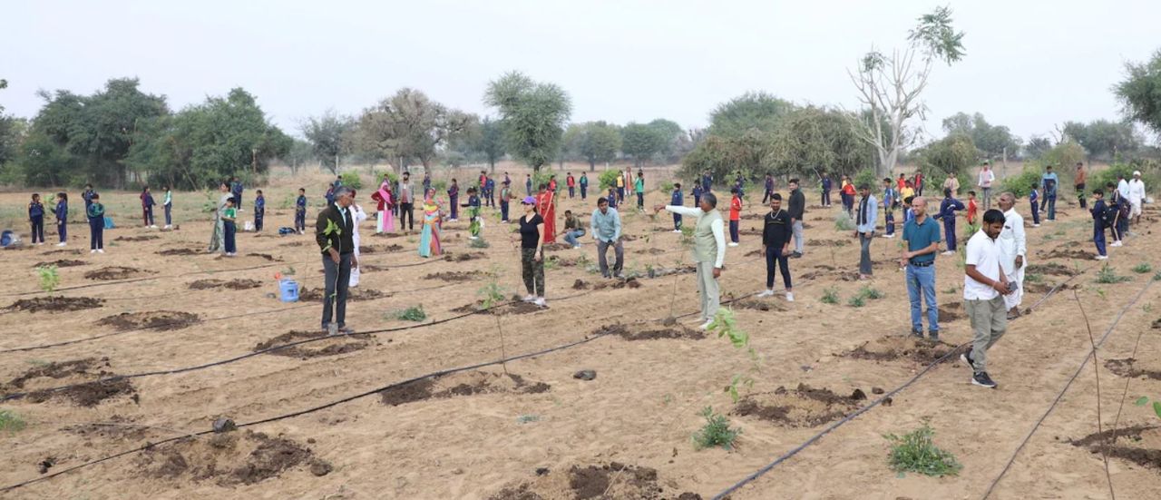 Tree plantation in Ahmedabad can help to improve air quality, mitigate the effec | Soche India